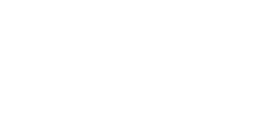 Stonehaven Realty of New York full logo in white with a stone bridge