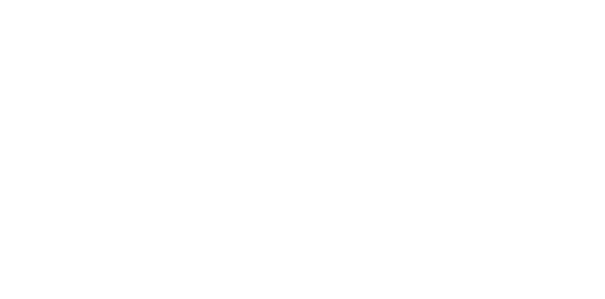 Stonehaven Realty of New York full logo in white with a stone bridge